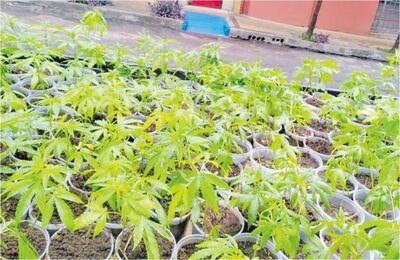 /pf/resources/images/abc-placeholder.png?d=2393