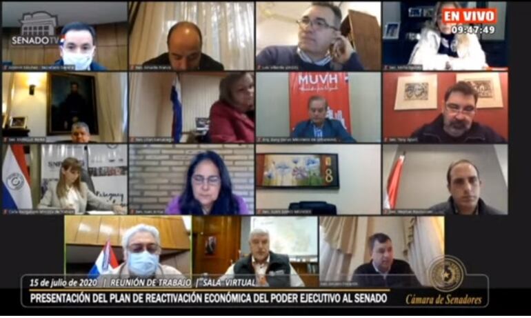 Senadores participaron de forma virtual y realizaron consultadas relacionadas a los planes del Ejecutivo para lograr la reactivación económica del país.