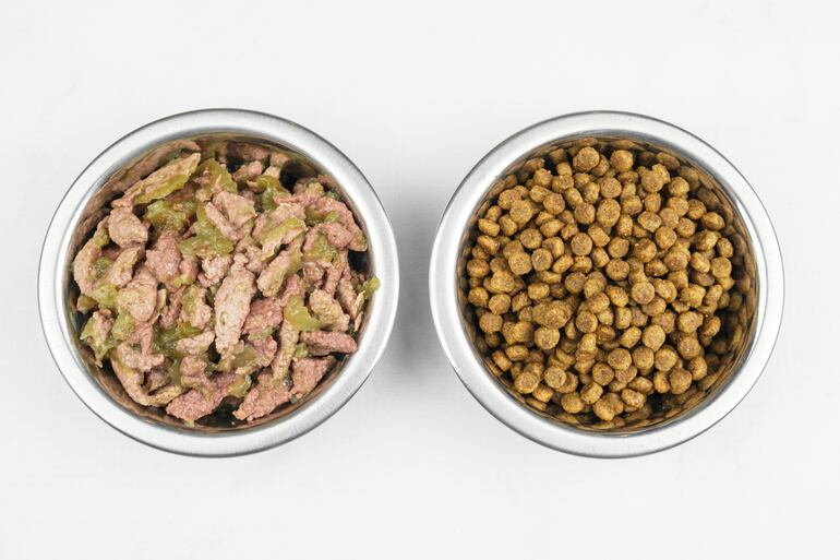 Carne blanca cocinada y enfriada vs. balanceados secos.