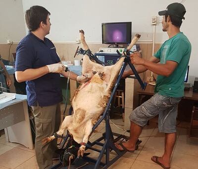 Imagen sin descripción