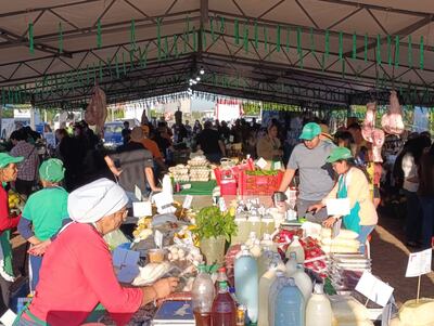 Feria de la agricultura familiar en la Costanera.