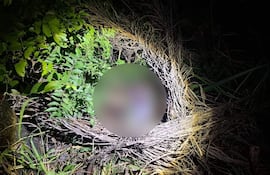 Escena de un operativo policial en entorno natural con vegetación, donde se encontró un cuerpo.