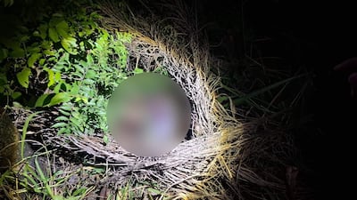 Escena de un operativo policial en entorno natural con vegetación, donde se encontró un cuerpo.