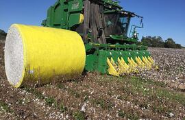 Imponente cosechadora y embolsadora de algodón adquirida por los productores del Chaco, para realizar sus trabajos apuntando siempre a una mayor producción con el uso de la tecnología en campo.
