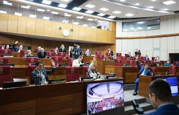 Sesión del Senado. Foto Gentileza del Senado.
