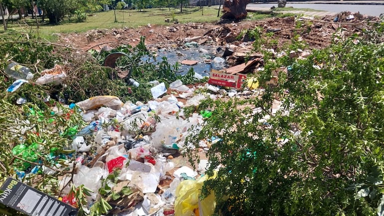 "Mini-Cateura" sobre en 21 proyectada casi Caballero, horas después de finalizado el operativo de limpieza.