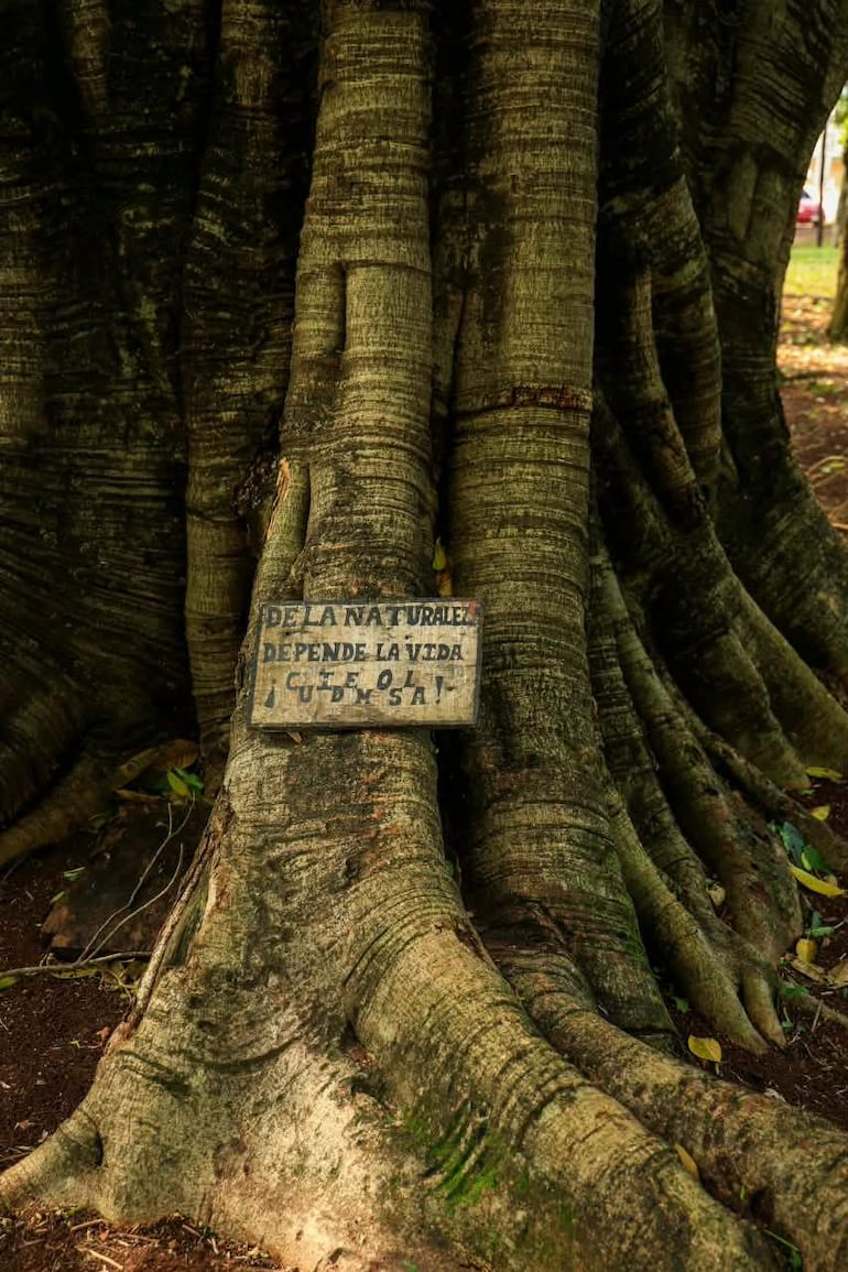 Cartel de madera desgastado en tronco de árbol, rodeado de vegetación, con el mensaje: 'DE LA NATURALEZ DEPENDE LA VIDA'.