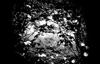 Una de las piezas que presentará Alejandra Mastro con esta nueva exposición.