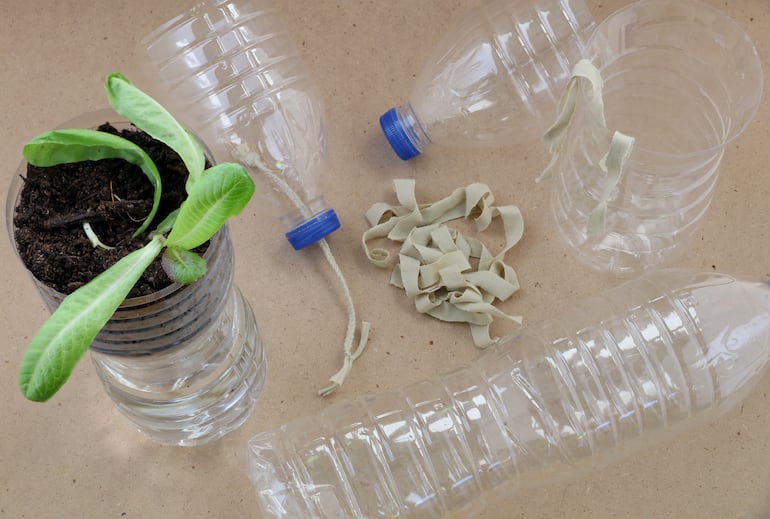 Plantas. Sistema de riego.