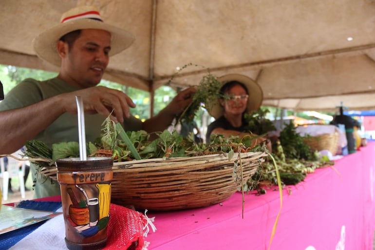 Hierbas medicinales para la preparación del tereré. 
