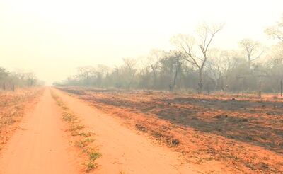 Grandes incendios forestales se desatan actualmente en el norte del Chaco.