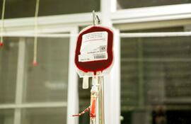 transfusión de sangre sanguínea