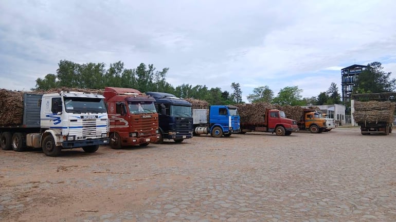 Cañicultores exigen a Petropar soluciones ante falta de capacidad para procesar toda la producción en Troche.