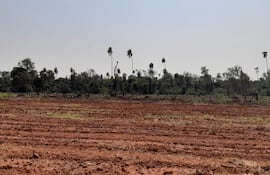 La Unión Europea (UE), a través de su reglamento 1115, pretende evitar que las importaciones de la UE de ciertas materias primas y productos derivados causen deforestación en los países exportadores.