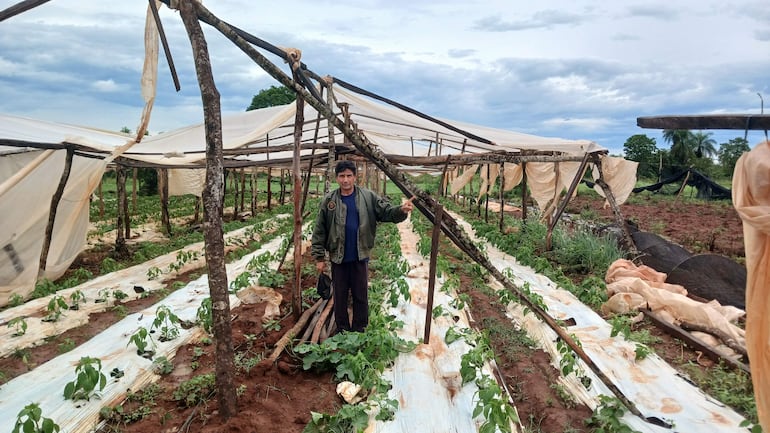 Hombre en chaqueta verde y pantalones oscuros de pie en invernadero, señalando estructura de soporte mientras rodea plantas cultivadas.