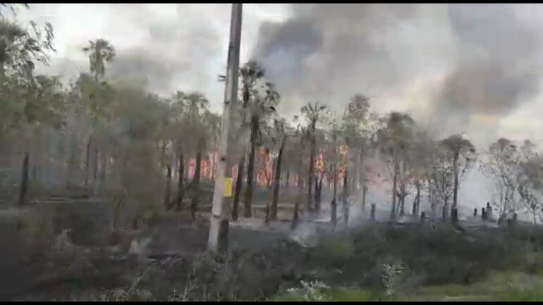 Así se presenta esta mañana el incendio a unos 25 kilómetros del casco urbano de Fuerte Olimpo.