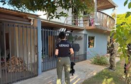 Agentes de la Senad y fiscales de la Unidad Especializada de Lucha Contra el Narcotráfico y el Crimen Organizado realizaron una serie de allanamientos en la ciudad de Cerrito departamento de Ñeembucú.