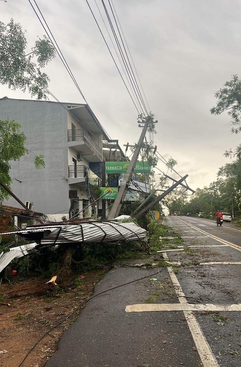 Árboles caídos y un poste de electricidad desplomado, a causa del temporal registrado ayer sábado