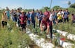 Agricultores de la Asociación de Productores Frutihortícolas San Lorenzo de Yhû, liderado por Lucio Aquino mostrando la producción de locote que ser perdió por falta de asistencia del MAG.