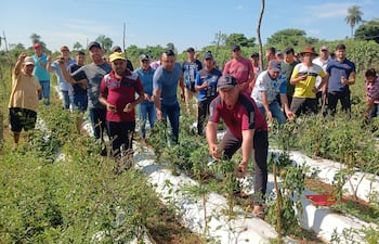 Agricultores de la Asociación de Productores Frutihortícolas San Lorenzo de Yhû, liderado por Lucio Aquino mostrando la producción de locote que ser perdió por falta de asistencia del MAG.