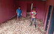 Dos hombres sostienen cebollas en sus manos dentro de una habitación con piso cubierto de cebollas. Uno viste camiseta azul y shorts, el otro, chaqueta roja y camiseta amarilla.