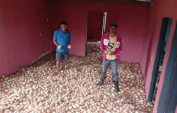 Dos hombres sostienen cebollas en sus manos dentro de una habitación con piso cubierto de cebollas. Uno viste camiseta azul y shorts, el otro, chaqueta roja y camiseta amarilla.