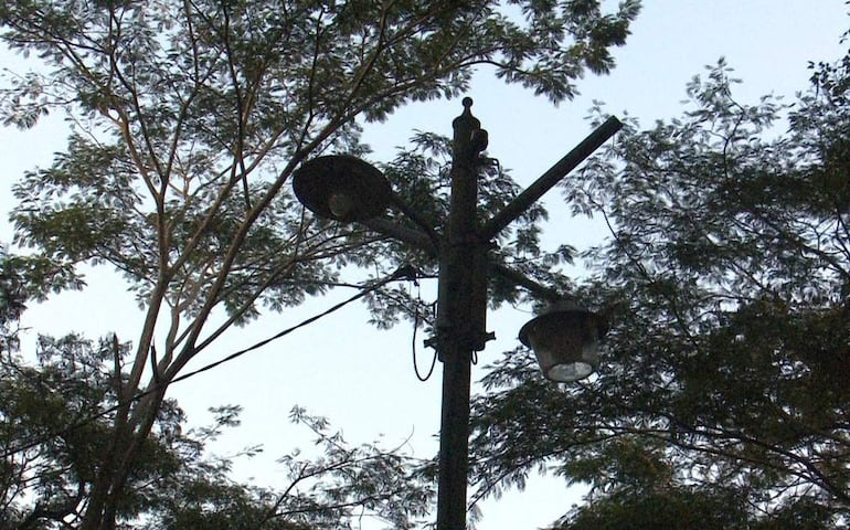 Poste de luz con dos faroles encendidos, rodeado de ramas de árboles en un ambiente exterior oscuro.