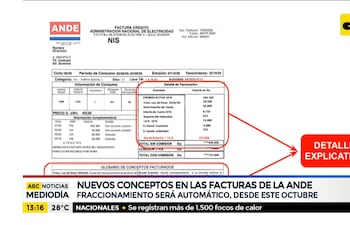 Nuevos conceptos en las facturas de la ANDE