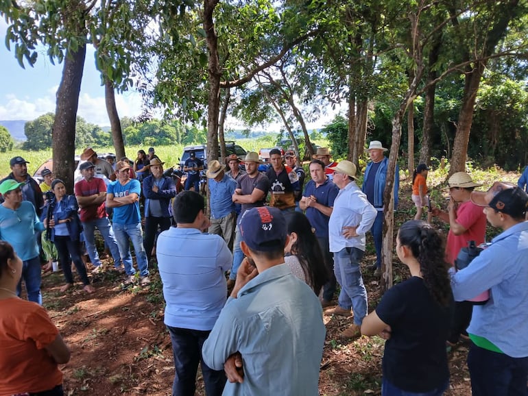 Soja en Independencia