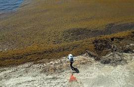 Esta vista aérea muestra a un trabajador municipal retirando el sargazo acumulado de la costa en Playa del Carmen, estado de Quintana Roo, México, el 6 de agosto de 2026.