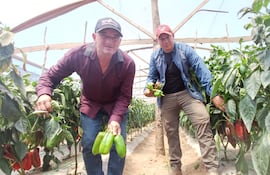 El productor, Oscar Guzmán (I) y Edgar Quiroga (d), mostrando sus locotes de primera calidad.