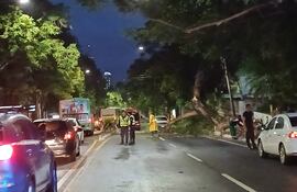 Árbol caído en Mariscal López, entre General Santo y 22 de Septiembre.