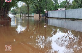 Calle inundada con agua marrón, árboles frondosos y postes de luz visibles en el entorno.