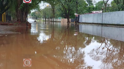Calle inundada con agua marrón, árboles frondosos y postes de luz visibles en el entorno.