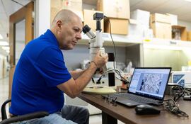 Fotografía cedida por el Instituto de Ciencias Agrícolas y Alimentarias de la Universidad de Florida (UF/IFAS) donde aparece el profesor del departamento de horticultura ambiental, Wagner Vendrame, revisando semillas que se plantarán en la Tierra como versión de control de las que serán enviadas a la Estación Espacial Internacional.