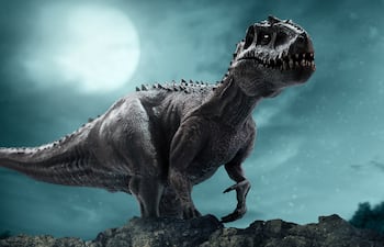 Tyrannosaurus rex, imagen ilustrativa.