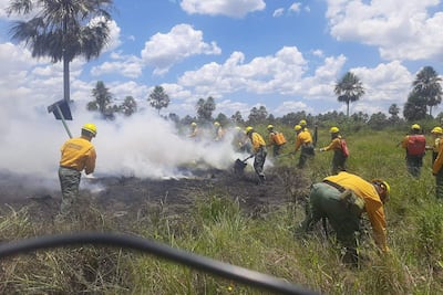 Bomberos y militares trabajan en sofocar el incendio en Río Verde, ayer jueves.