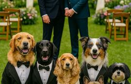 Argentina: una pareja se casará con sus cinco perros como testigos. Imagen ilustrativa generada con IA de unos perros vestidos para una fiesta elegante.