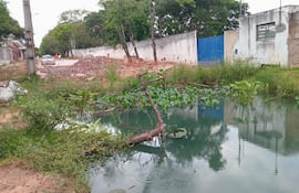 Cuerpo de agua rodeado de vegetación acuática y material de construcción en un entorno urbano en San Pablo.