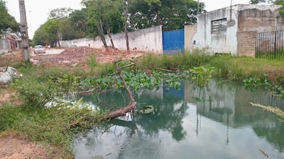 Cuerpo de agua rodeado de vegetación acuática y material de construcción en un entorno urbano en San Pablo.