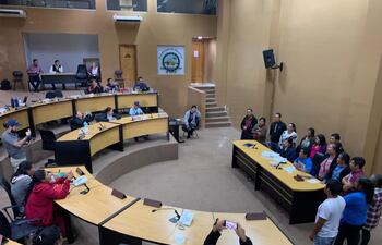 Consejo Consultivo que está integrado por 14 representantes (7 mujeres y 7 hombres) de los 7 pueblos originarios con presencia en el Departamento Central: mbya guaraní, avá guaraní, pai tavytera, nivaclé, enlhet norte, angaité y tomaraho.