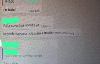Captura de pantalla del grupo de whatsapp de los estudiantes.