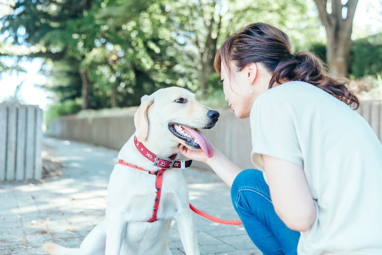 “Baby talk” con mascotas: por qué hablarles como bebés puede tener efectos positivos. La imagen muestra a un perro y su humana.