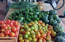 Tomates en caja, pimientos, calabacines y zanahorias, forman parte de la producción en la huera urbana en Ayolas.