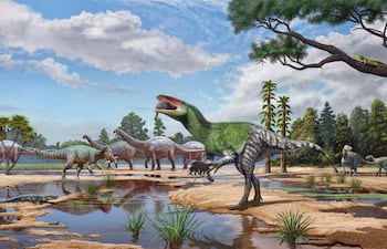 Invictibellatrix amberina, el primer megaraptórido identificado en Europa (Formación Wessex, isla de Wight). Arte: Art Sergey Krasovskiy + Pedro Salas.
