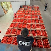 En siete meses la DNIT incautó cerca de mil toneladas, pero la economía subterránea se mantiene en el 47% del PIB