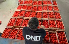 DNIT