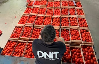 DNIT
