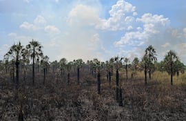 Bomberos voluntarios de varias ciudades luchan contra un voraz incendio que ya consumió 40 hectáreas de la Reserva Natural Aguapey, en San Bernardino.