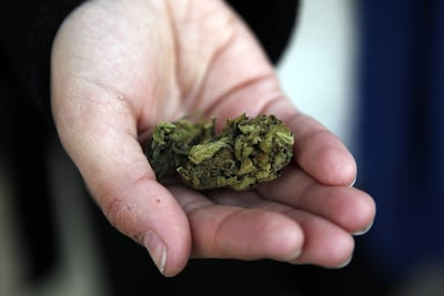 Una persona muestra marihuana de uso recreativo.